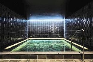 the royal park canvas kyoto nijo