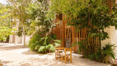 koos hotel boutique tulum
