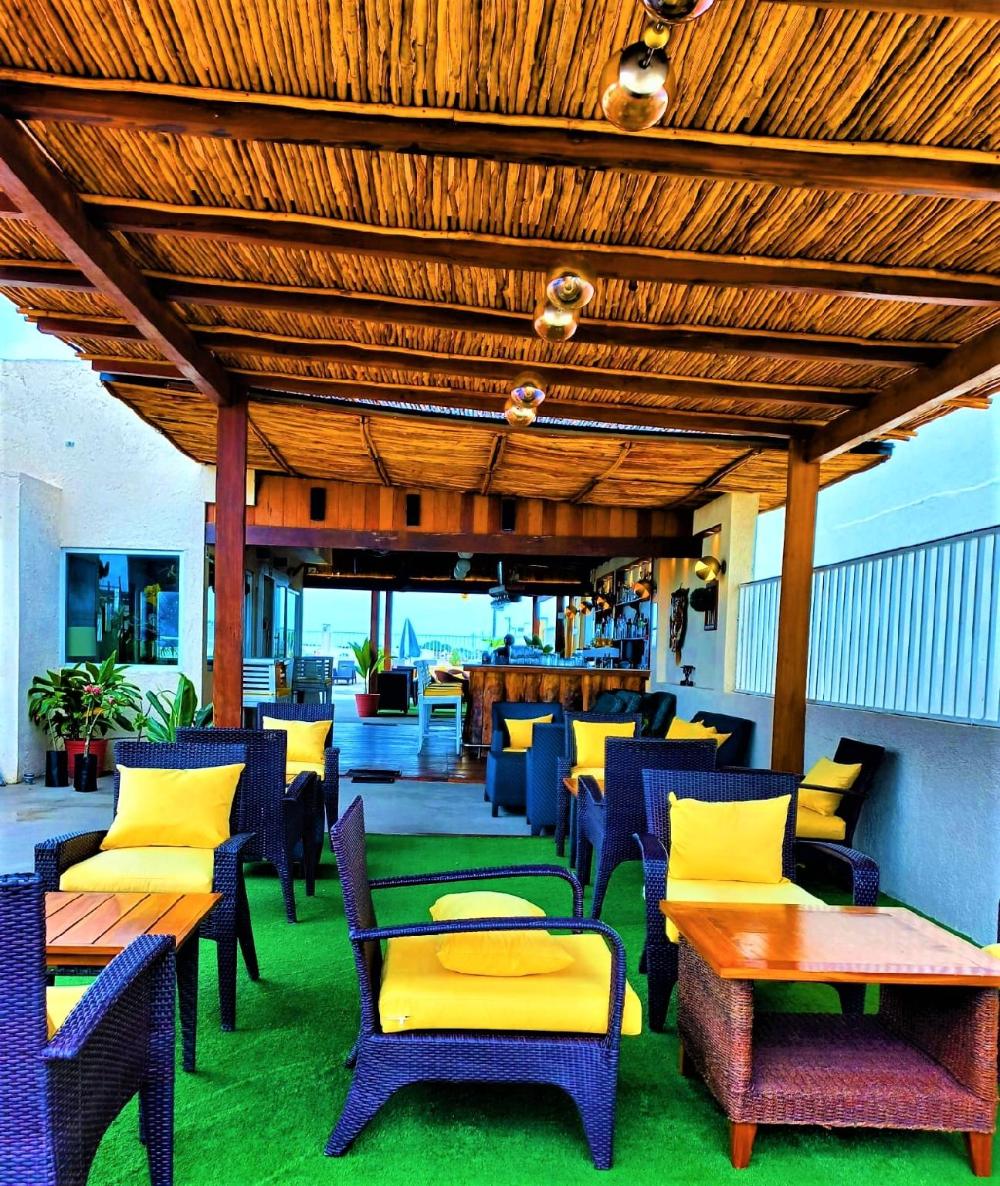 12 bees hotel