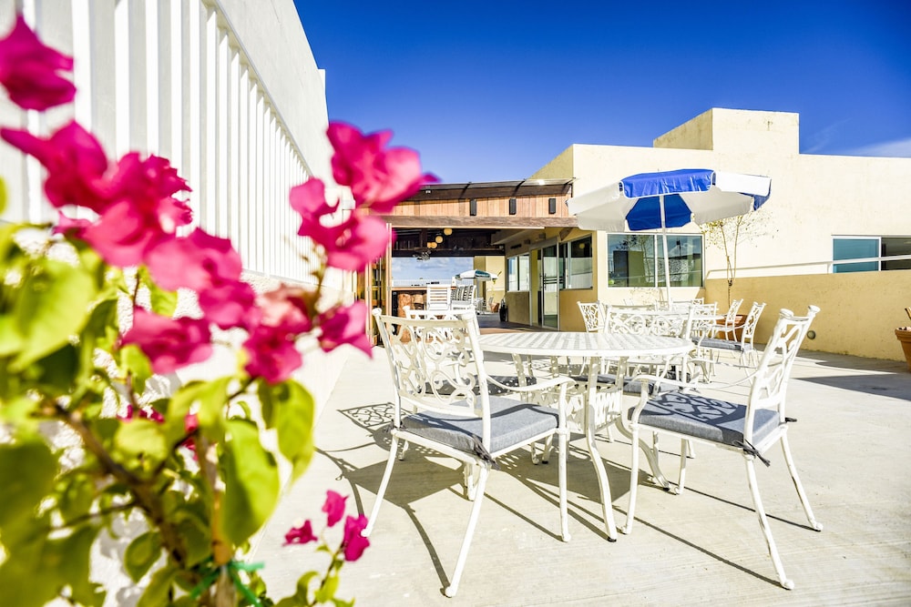 12 bees hotel
