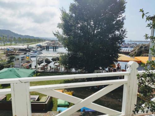 lotus restaurant and home