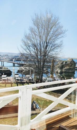 lotus restaurant and home