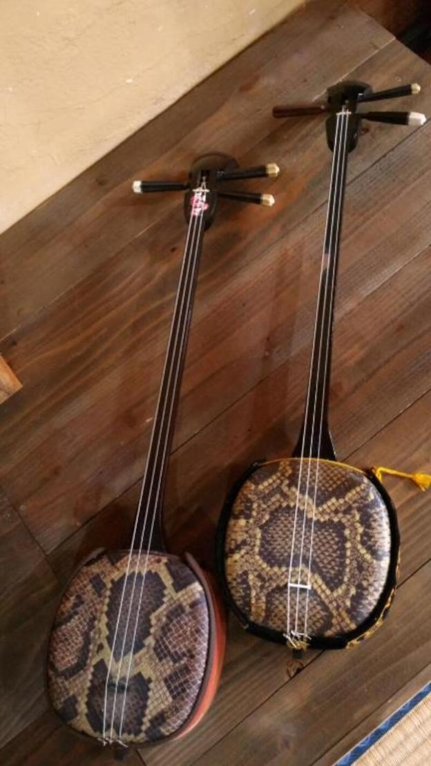 guest house connect hostel