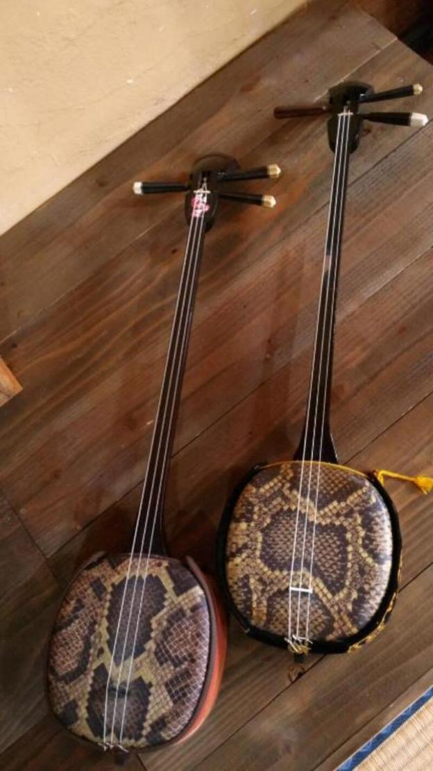 guest house connect hostel