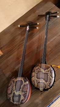 guest house connect hostel