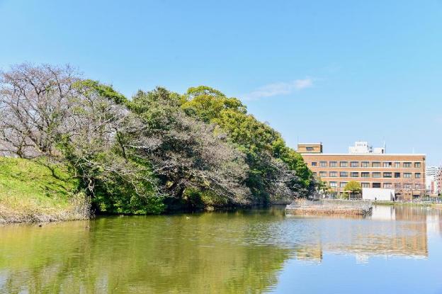 hotel livemax fukuoka tenjin west
