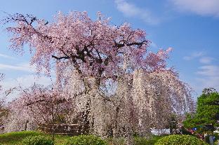 hotel wing international premium kyoto sanjo