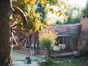 alex village life