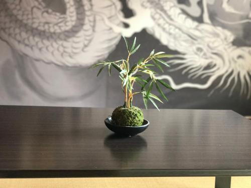 casa viento stay inn