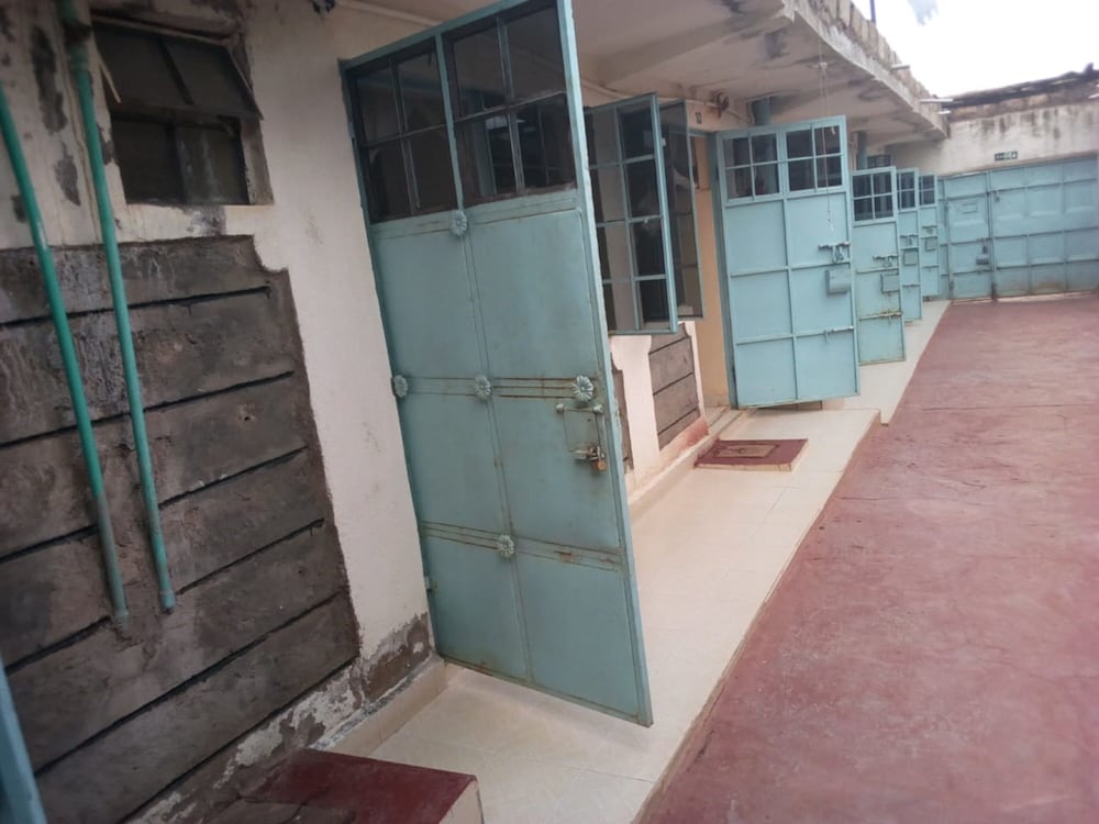 mumbi rose guest house