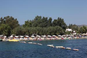 bodrum