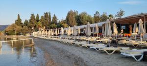 manuela hotel