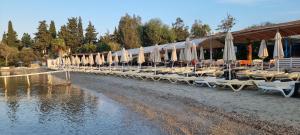 manuela hotel