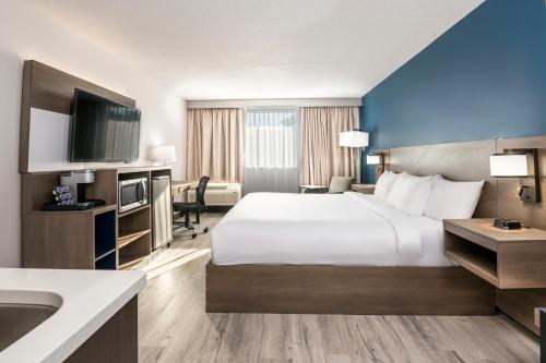 comfort suites kingston central
