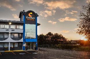 comfort suites kingston central