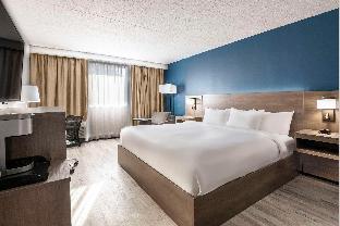 comfort suites kingston central