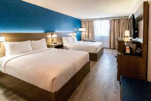 comfort suites kingston central