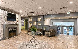 comfort suites kingston central
