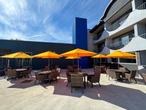 comfort suites kingston central