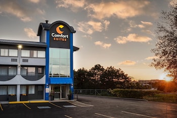 comfort suites kingston central
