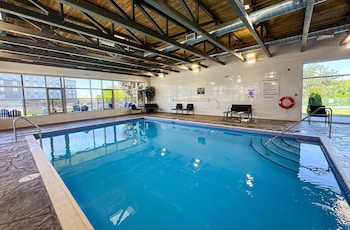 comfort suites kingston central