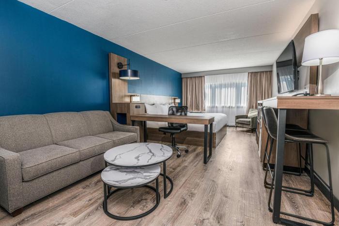 comfort suites kingston central