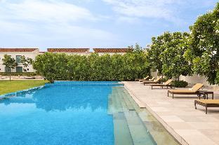 marasa sarovar premiere bodhgaya