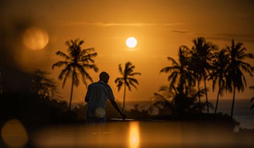 the manor house by sansi