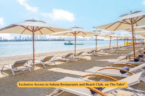 the first collection at jumeirah village circle