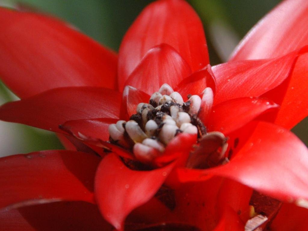 porto seguro
