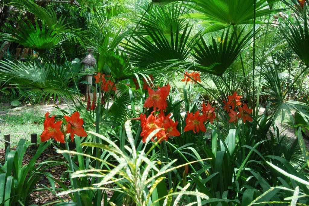 porto seguro