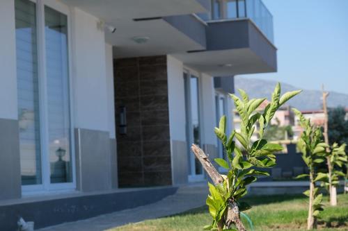 yildiz apart