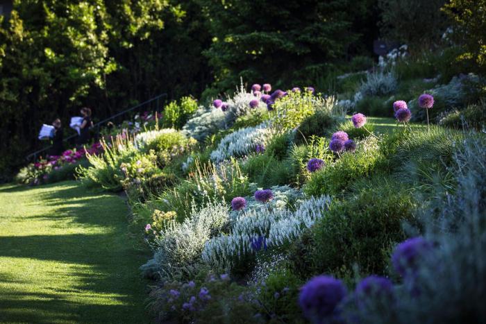 hotel lincomparable by les etincelles