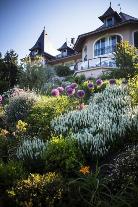 hotel lincomparable by les etincelles