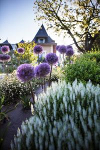 hotel lincomparable by les etincelles