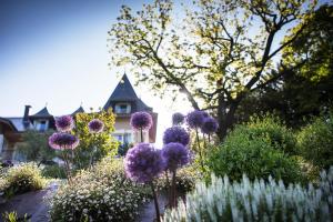 hotel lincomparable by les etincelles