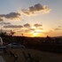 jeju