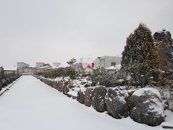 jeju starlight glamping
