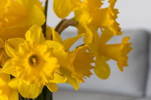 gem bed and breakfast