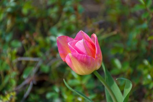 gem bed and breakfast