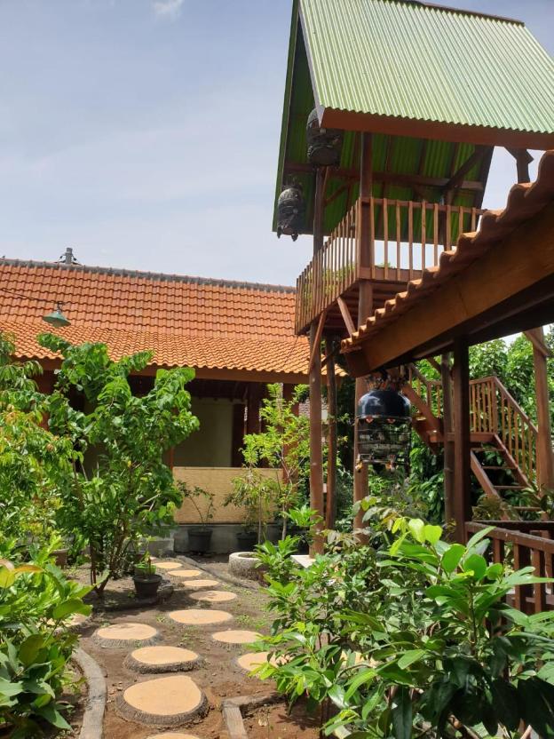nitas homestay banyuwangi