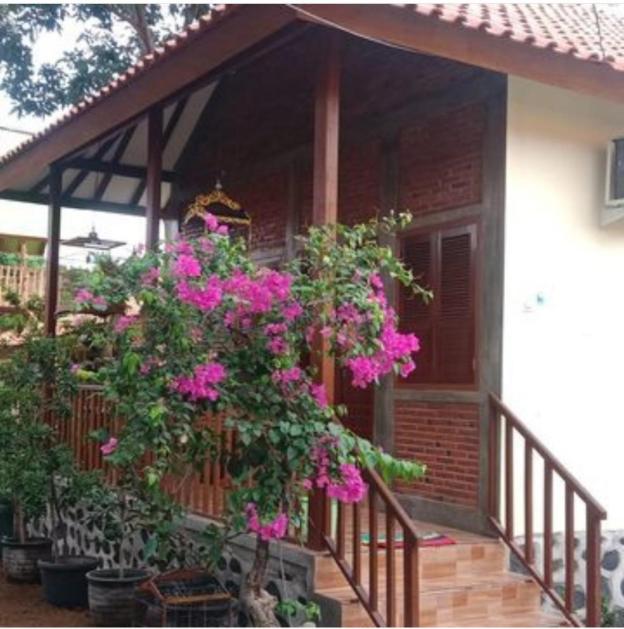 nitas homestay banyuwangi