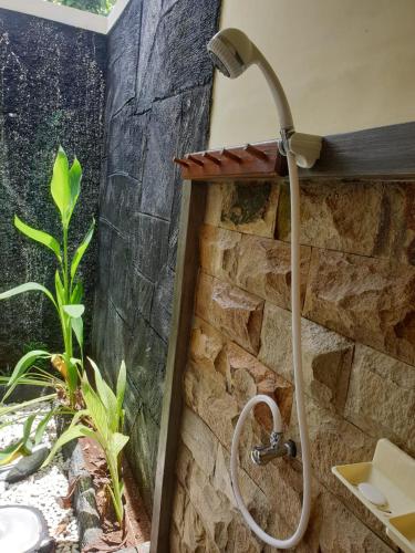 nitas homestay banyuwangi