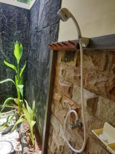 nitas homestay banyuwangi