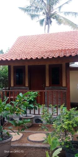nitas homestay banyuwangi
