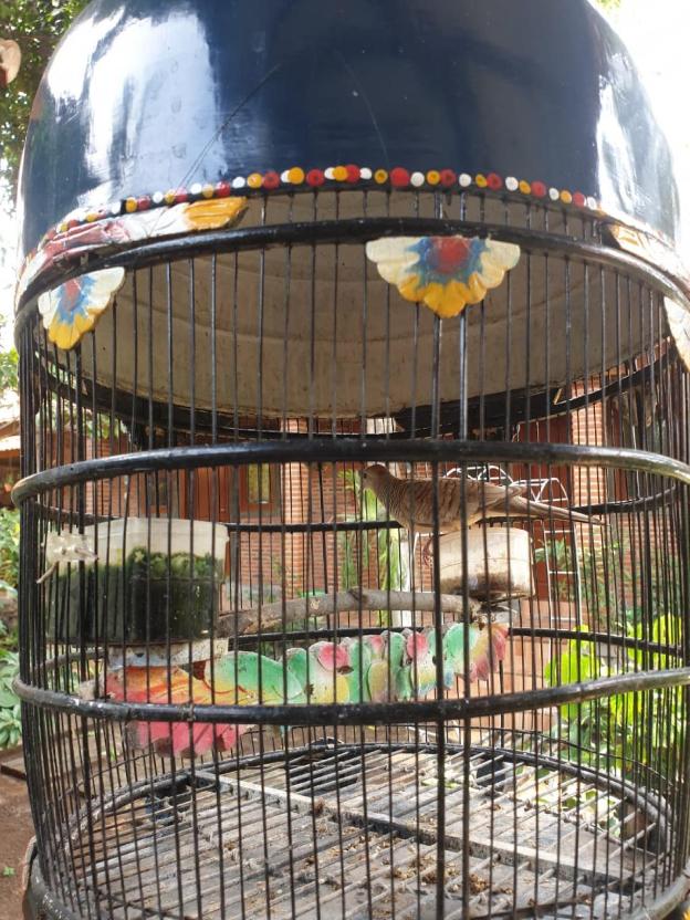 nitas homestay banyuwangi