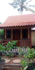 nitas homestay banyuwangi