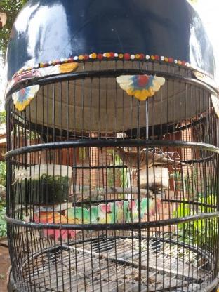 nitas homestay banyuwangi