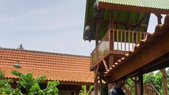 banyuwangi