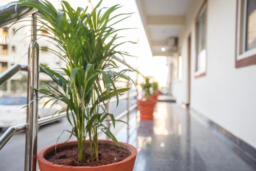 bangalore